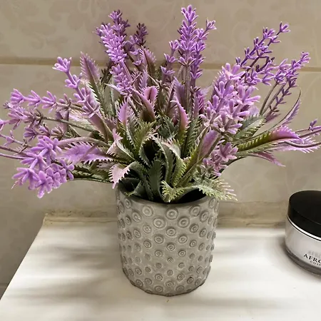 Apartment Zara Апартаменты